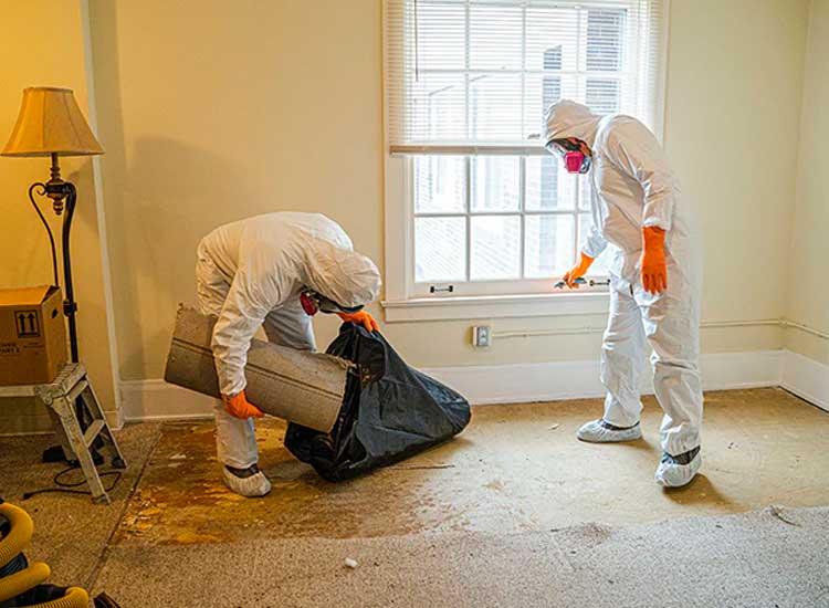 two men in white hazmat suits removing mold and water damaged carpet in a home with Stallion Restoration