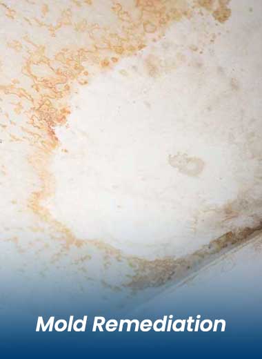 mold damage on a ceiling remediated by Stallion Restoration