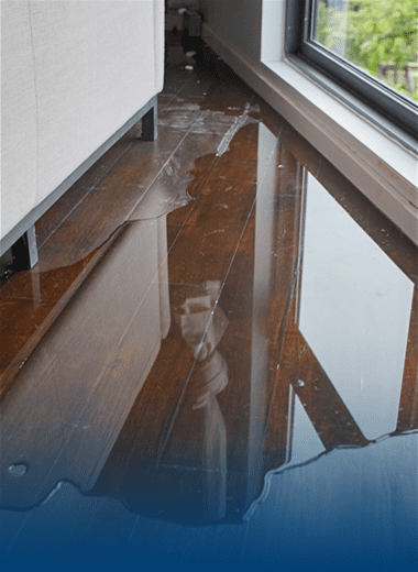 Roof Leaks / Tarping water leak inside a house fixed by Stallion Restoration