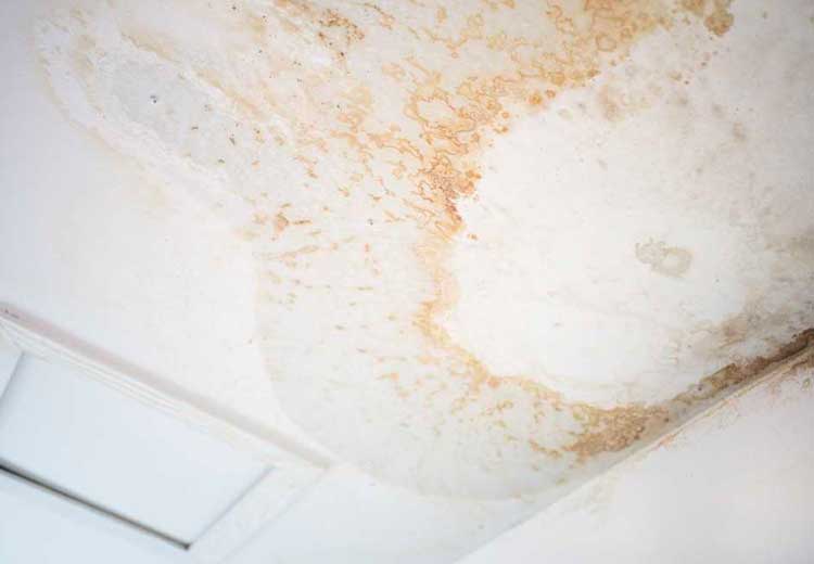 water damaged ceiling in a home solved with Water Remediation Services by Stallion Restoration