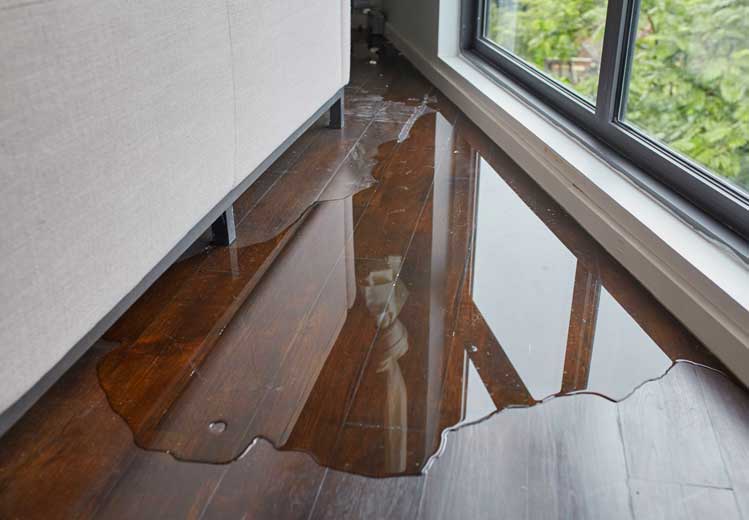 water leaking in a house solved with Water Remediation Services from Stallion Restoration