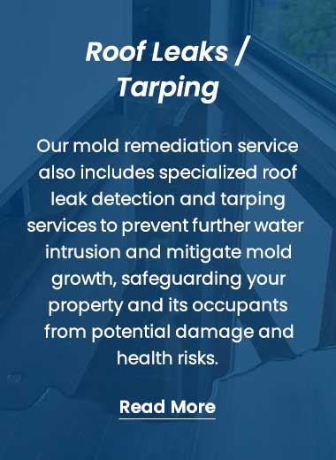 Roof leaks/tarping infographic with Stallion Restoration