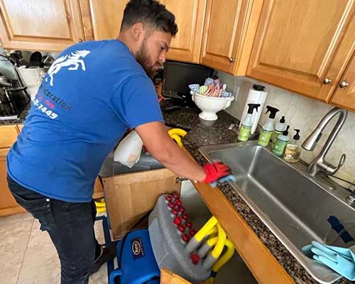 man cleaning mold from a kitchen sink with Stallion Restoration's Mold Detection & Remediation